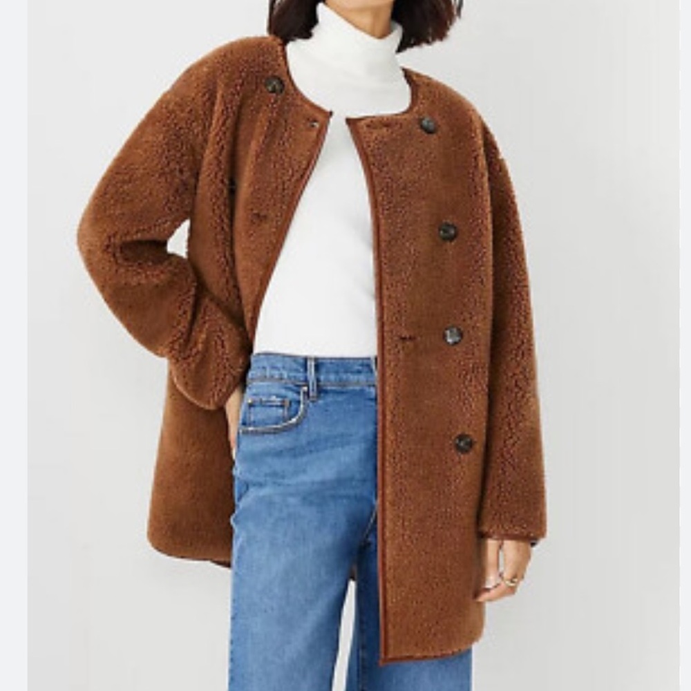 Ann Taylor Brown Button-Up Coat